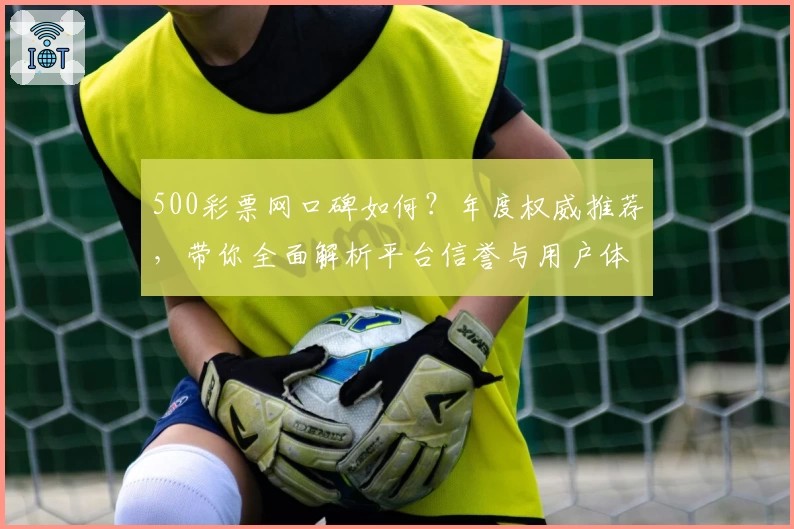 500彩票网口碑如何？年度权威推荐，带你全面解析平台信誉与用户体验