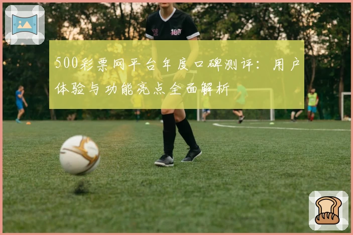 500彩票网平台年度口碑测评：用户体验与功能亮点全面解析