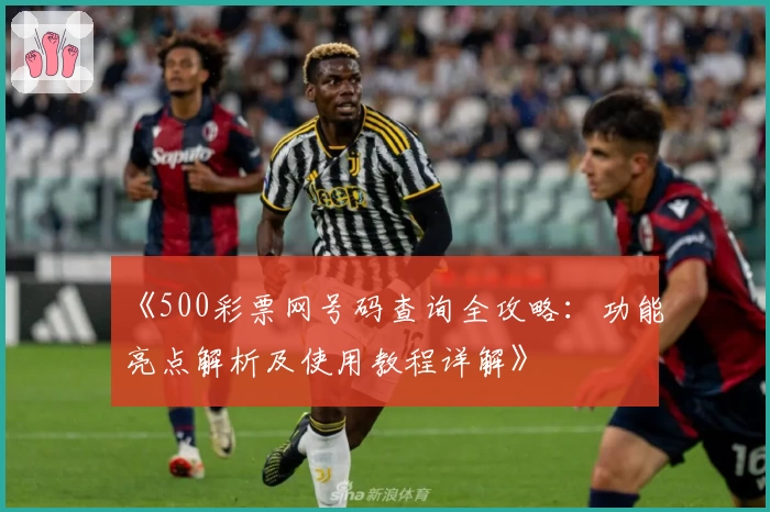 《500彩票网号码查询全攻略：功能亮点解析及使用教程详解》