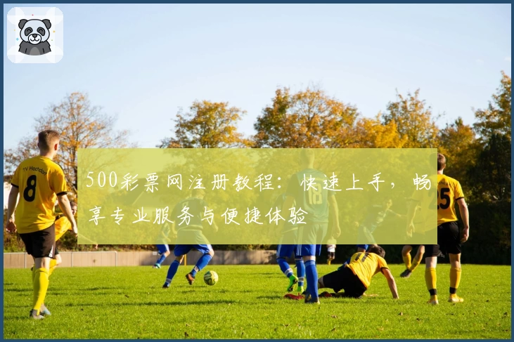 500彩票网注册教程：快速上手，畅享专业服务与便捷体验